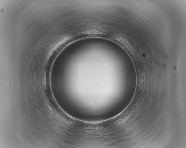 X0000059830727200510241420