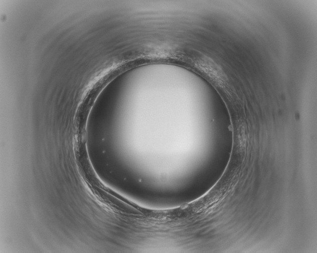 X0000059830728200510241420