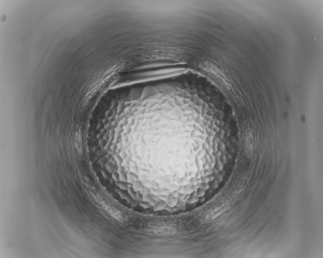 X0000059830729200510241420