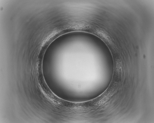 X0000059830730200510241420