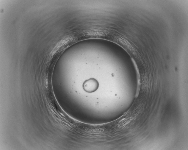 X0000059830731200510241420