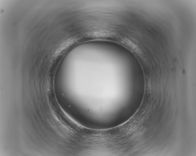 X0000059830732200510241420