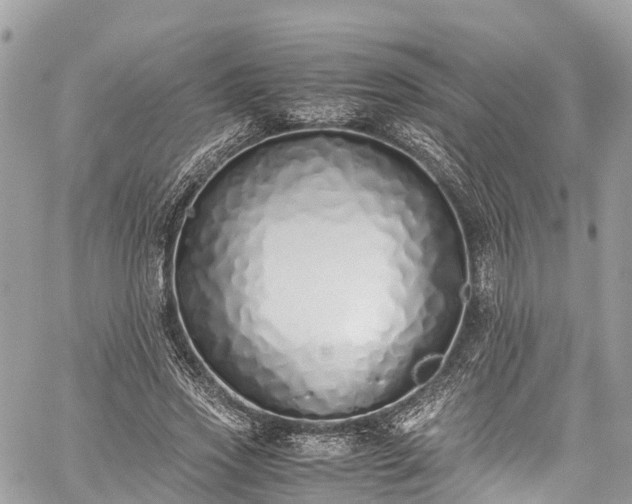 X0000059830733200510241420