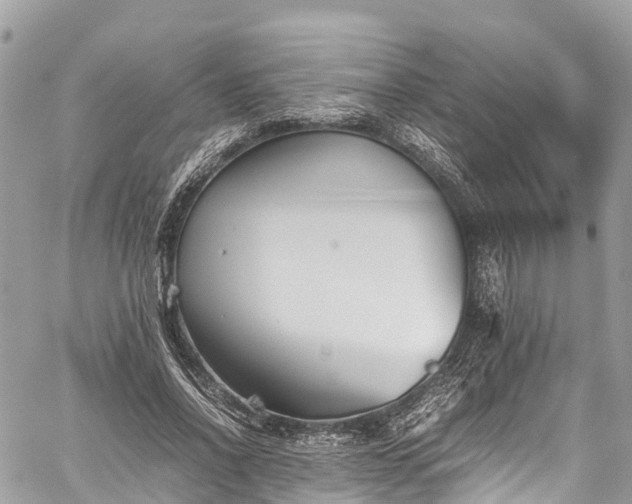 X0000059830734200510241420