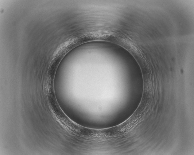 X0000059830736200510241420