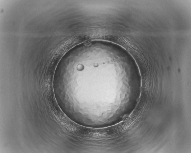 X0000059830737200510241420