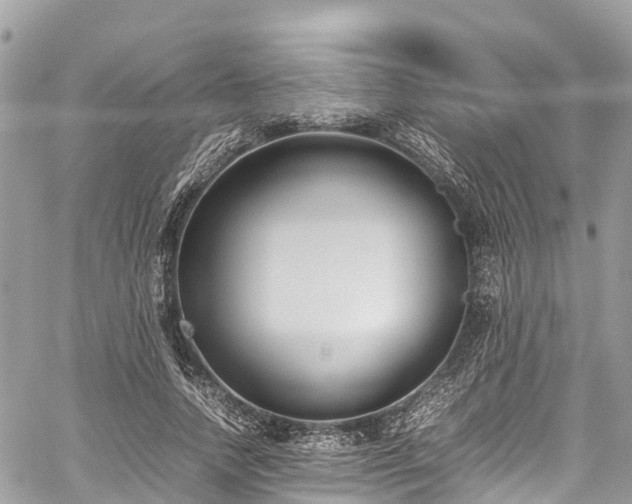 X0000059830738200510241420