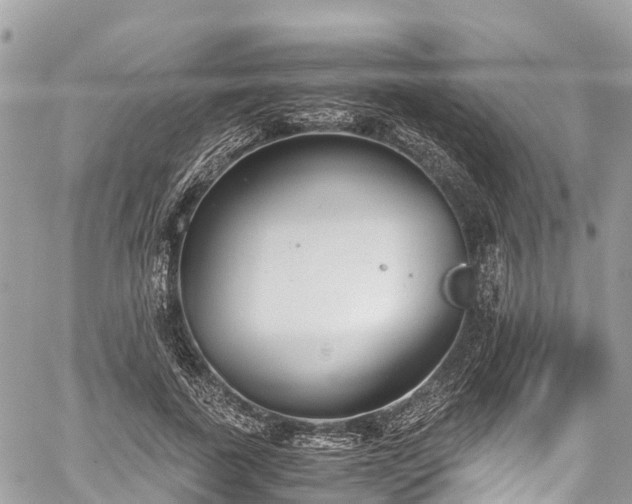 X0000059830739200510241420