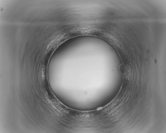 X0000059830740200510241420