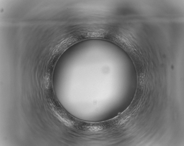 X0000059830741200510241420