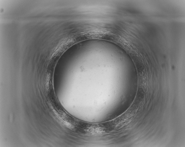 X0000059830742200510241420