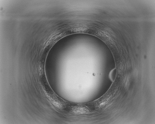 X0000059830743200510241420