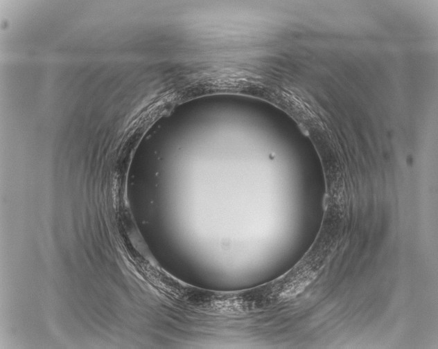 X0000059830744200510241420