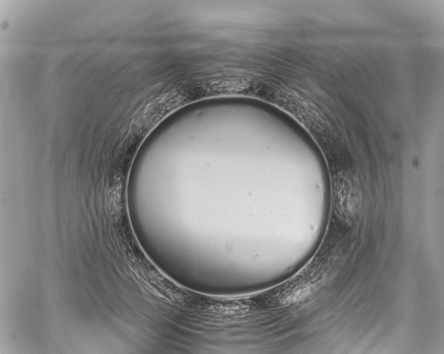 X0000059830745200510241420