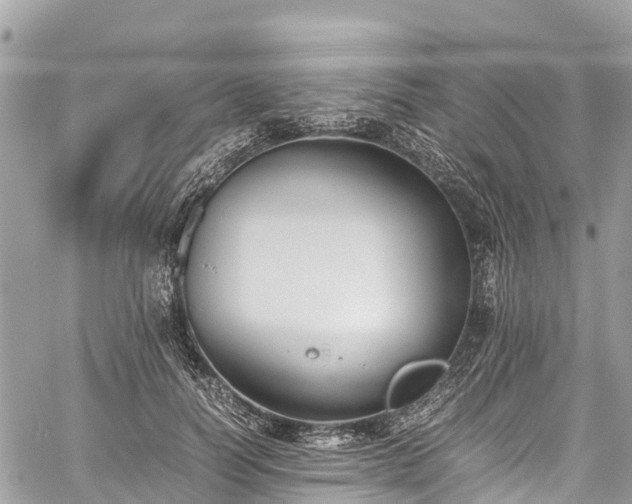 X0000059830746200510241420