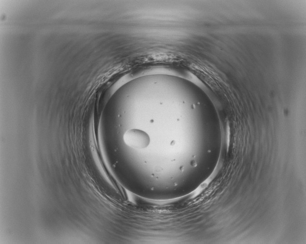 X0000059830748200510241420