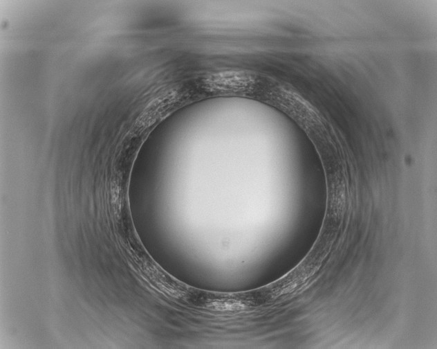 X0000059830749200510241420