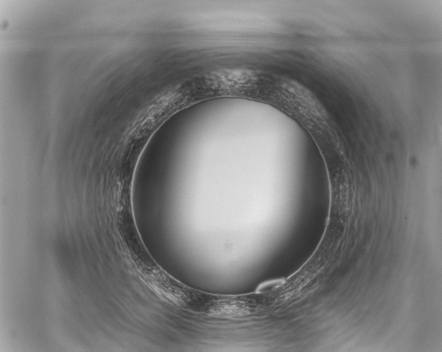 X0000059830750200510241421