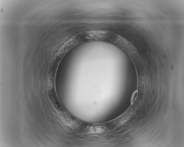 X0000059830751200510241421