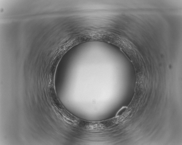 X0000059830752200510241421