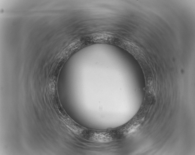 X0000059830753200510241421