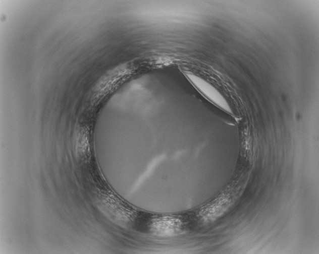 X0000059830754200510241421