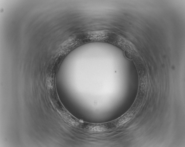 X0000059830755200510241421