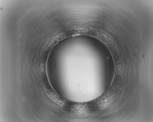 X0000059830756200510241421