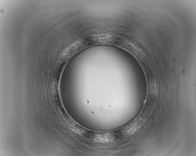 X0000059830757200510241421