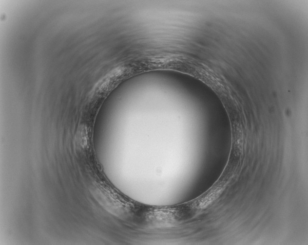 X0000059830758200510241421