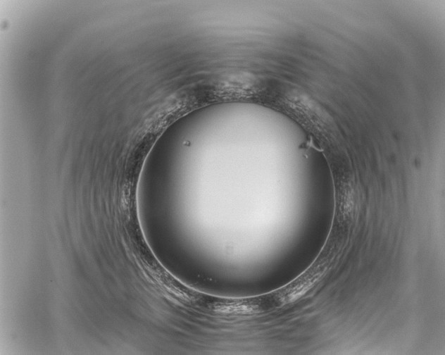 X0000059830759200510241421