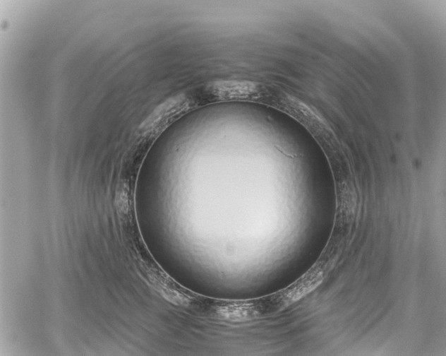 X0000059830761200510241421