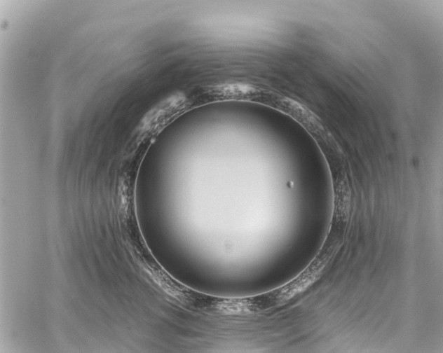 X0000059830762200510241421