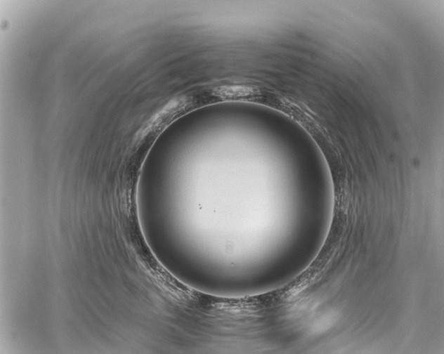 X0000059830763200510241421