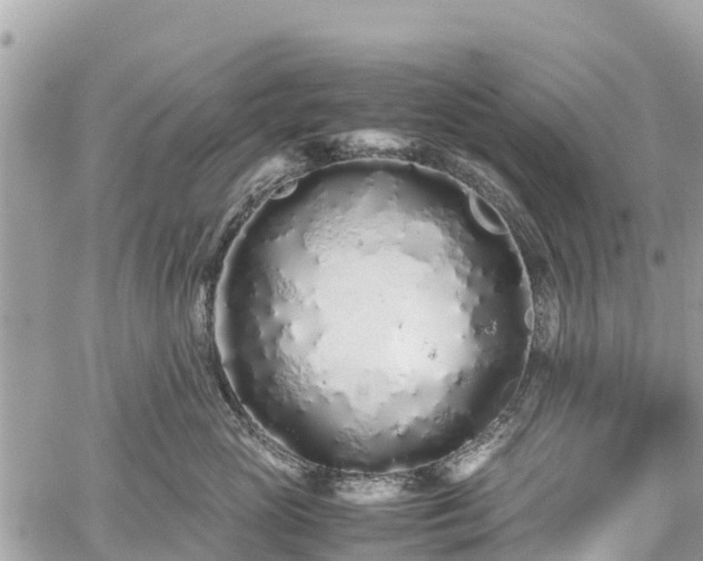 X0000059830765200510241421