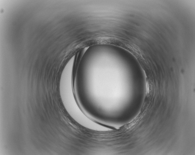 X0000059830766200510241421