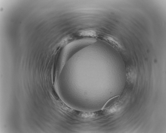 X0000059830767200510241421