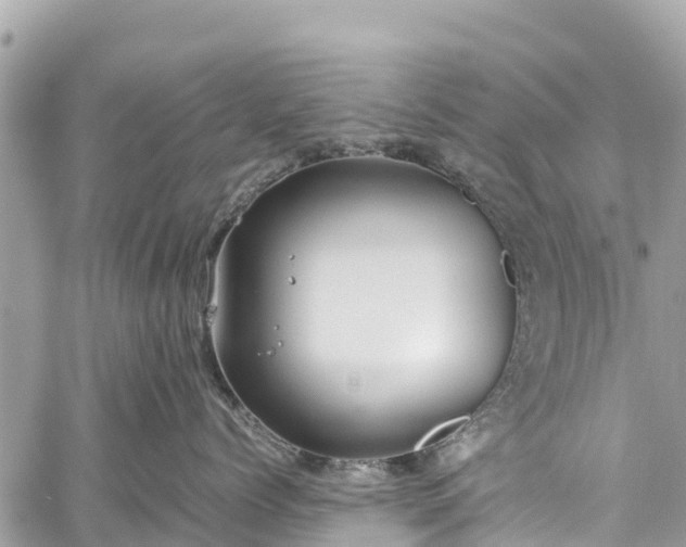 X0000059830768200510241421