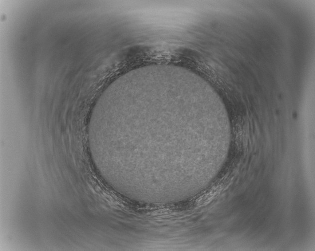 X0000059830769200510241420