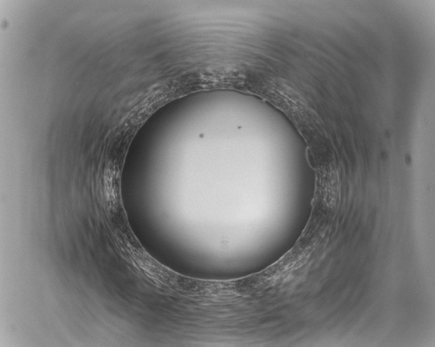 X0000059830770200510241420