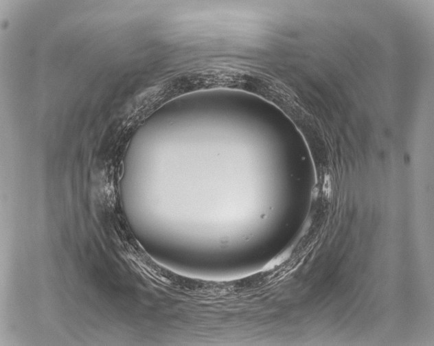 X0000059830771200510241420