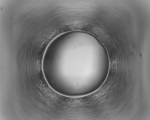 X0000059830772200510241420