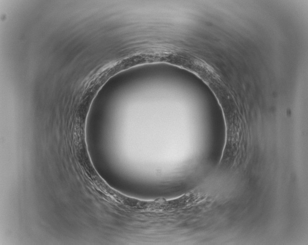 X0000059830773200510241420