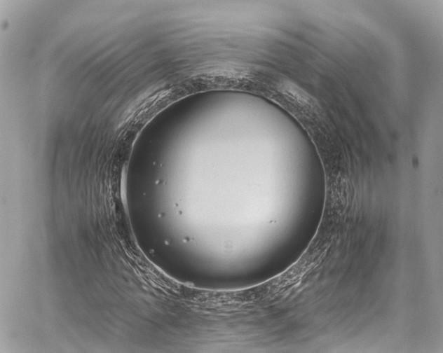 X0000059830774200510241420