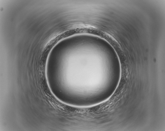 X0000059830775200510241420