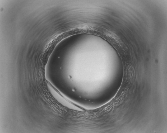 X0000059830776200510241420