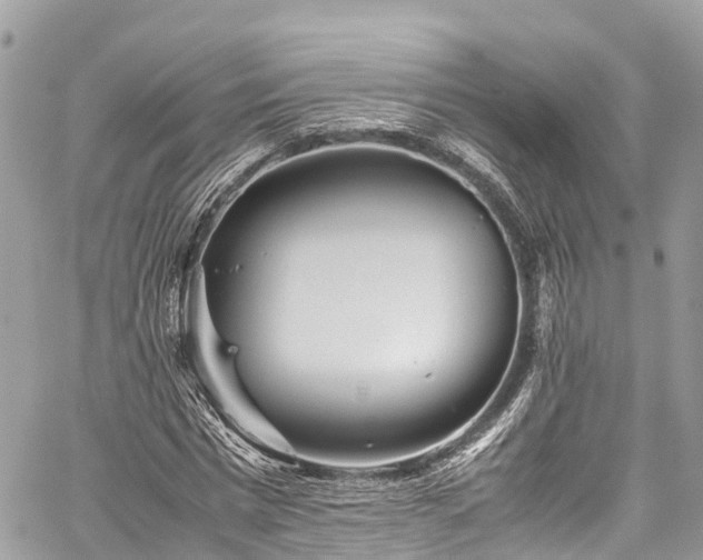 X0000059830777200510241420