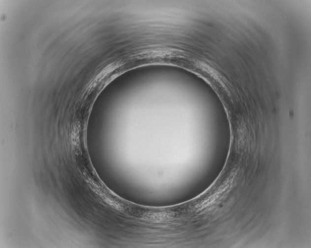 X0000059830778200510241420