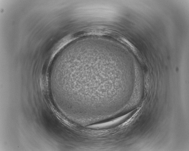 X0000059830779200510241420