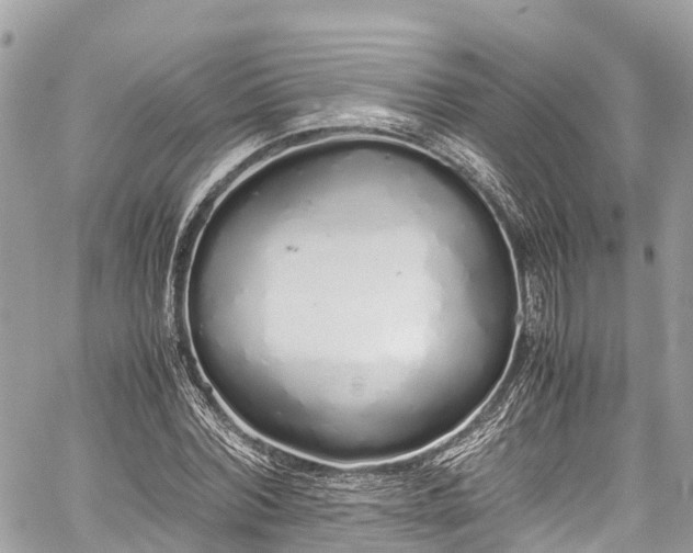 X0000059830780200510241420